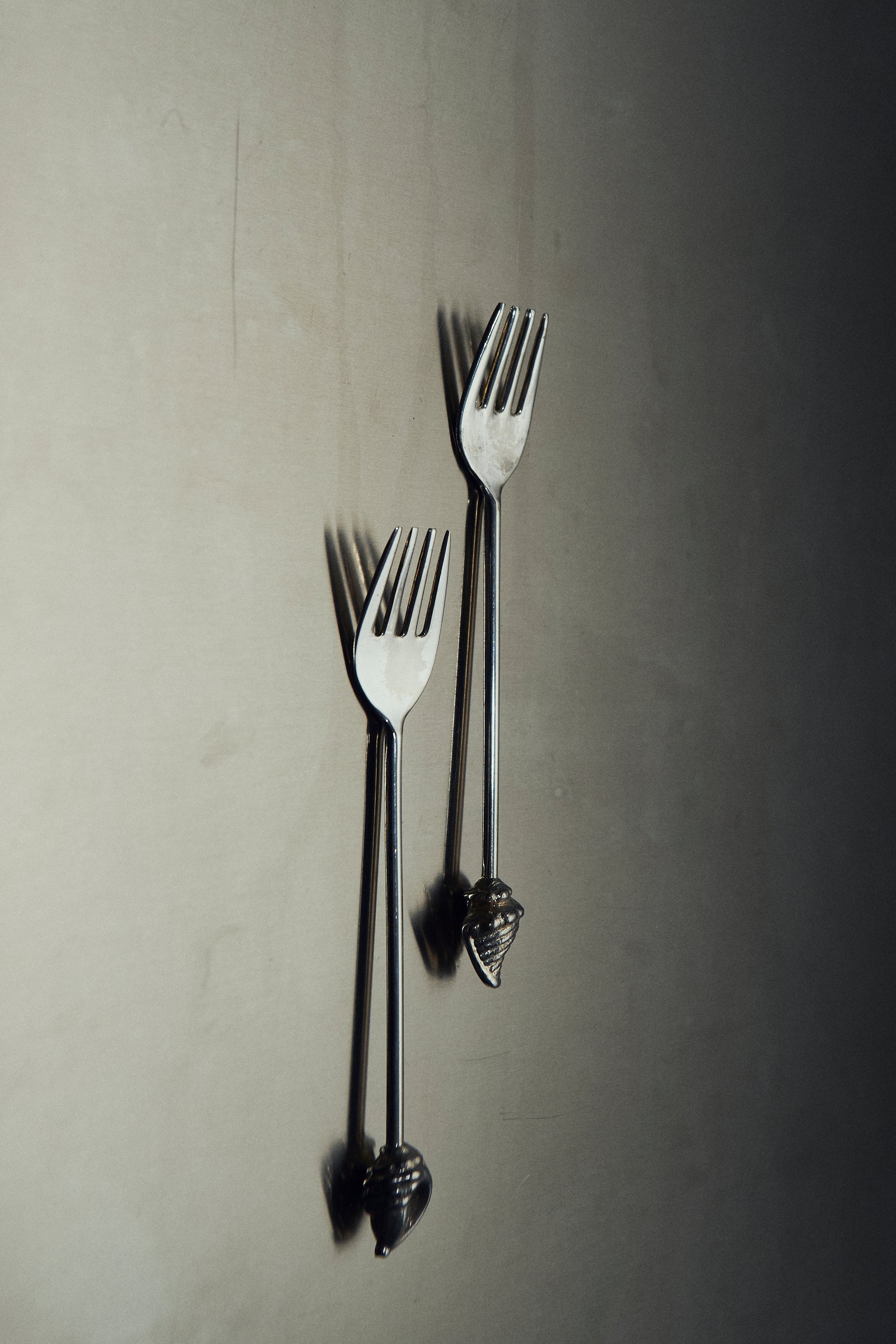 THE SHELL FORKS