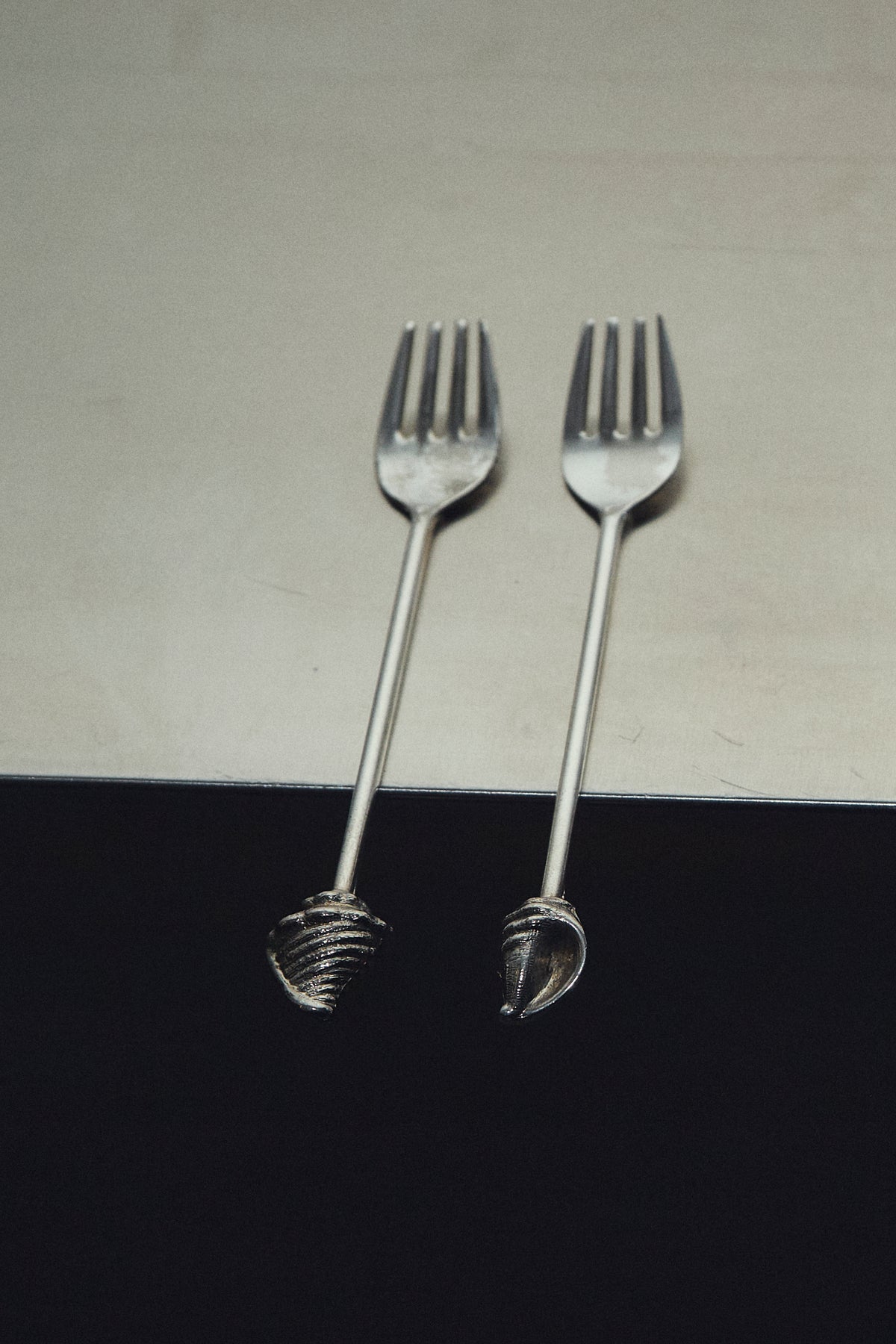 THE SHELL FORKS