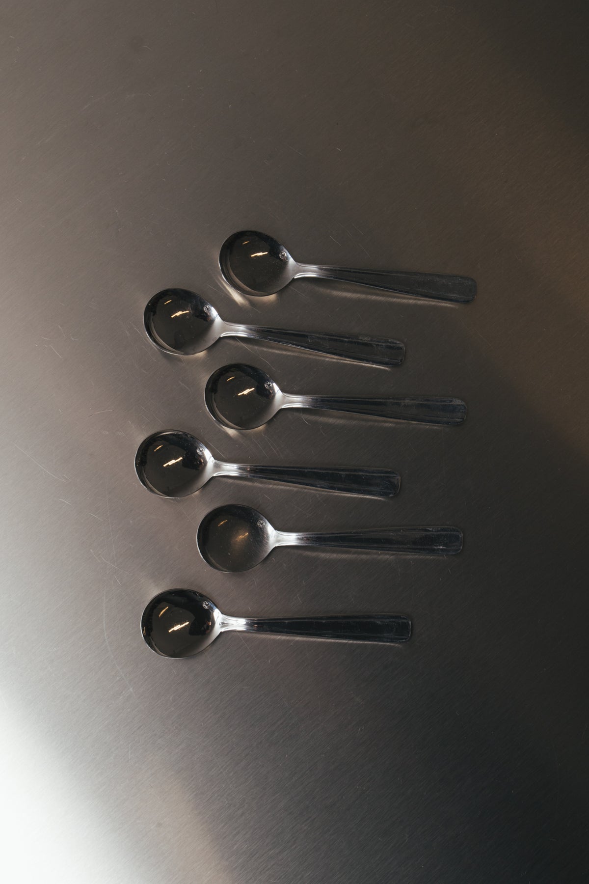 THE DESSERT SPOON SET